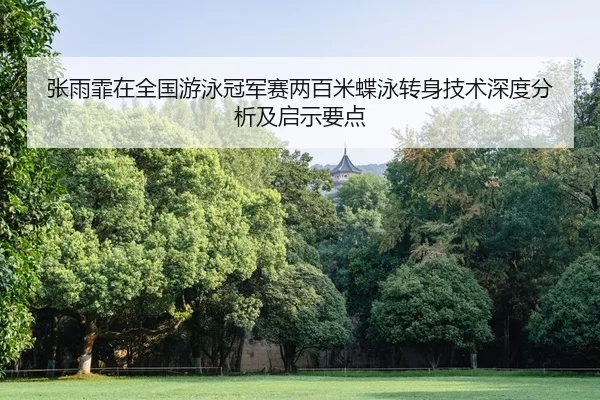 张雨霏在全国游泳冠军赛两百米蝶泳转身技术深度分析及启示要点